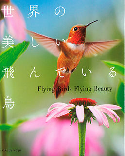 f−4767817021.jpg