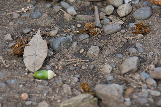130912_DSC8018.jpg