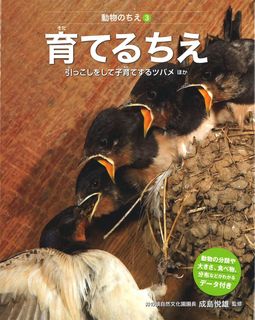 3-cover.jpg