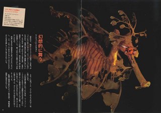 4_p1011.jpg