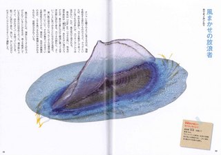 6_p5253.jpg