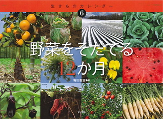 表紙.jpg
