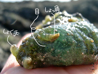 DSCN0402.jpg