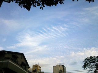 DSC_0322.jpg