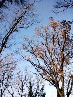 DSC_0436.jpg
