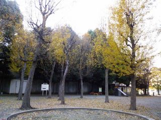 DSC_0443.jpg