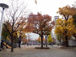 DSC_0469.jpg