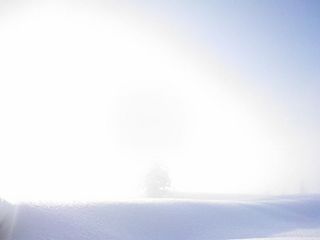 DSC_0567.jpg