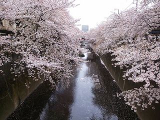 DSC_0925.jpg