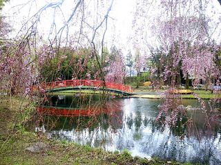 DSC_1032.jpg