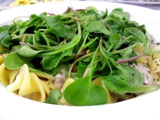DSC_1125.jpg