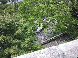 DSC_1256.jpg