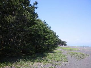 DSC_1274.jpg