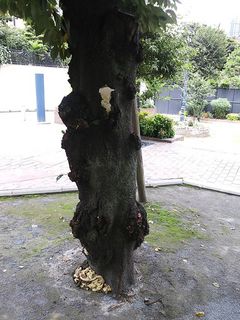 DSC_1384.jpg