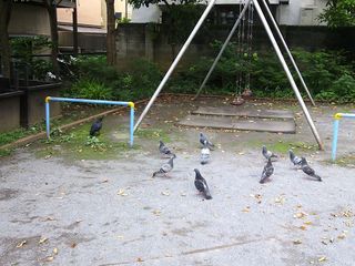 DSC_1387.jpg