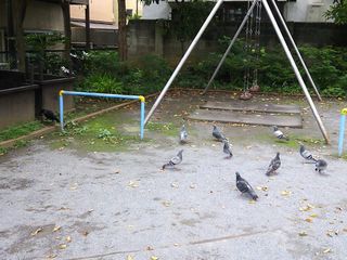 DSC_1388.jpg