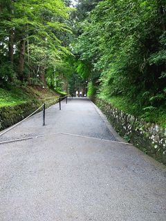 DSC_1399.jpg