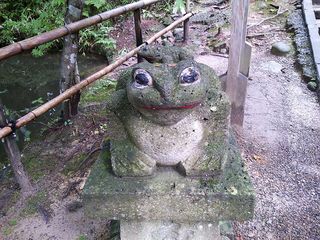 DSC_1445.jpg