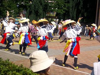 DSC_1494.jpg