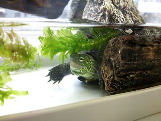 DSC_1508.jpg