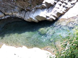 DSC_1592.jpg