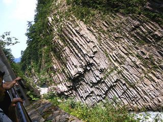 DSC_1603.jpg