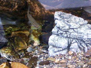 DSC_1665.jpg
