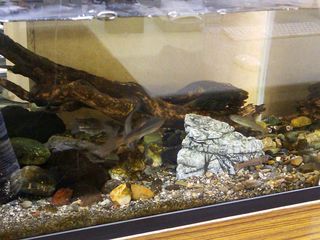 DSC_1669.jpg