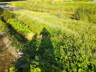 DSC_1797.jpg