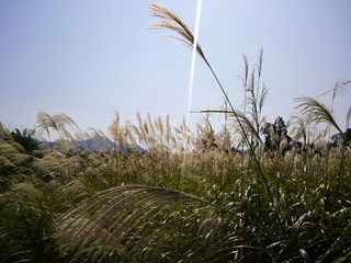 DSC_1876.jpg