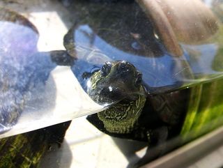 DSC_2113.jpg