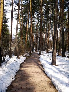 DSC_2195.jpg
