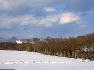 DSC_2206.jpg