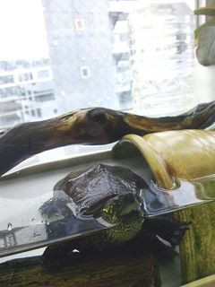 DSC_2309.jpg
