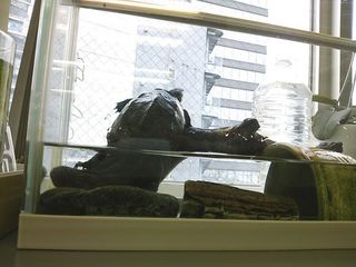 DSC_2321.jpg