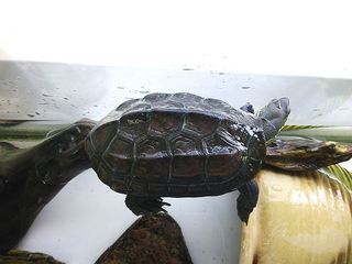DSC_2326.jpg