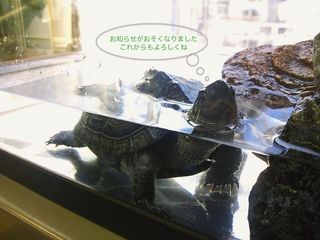 DSC_2413.jpg