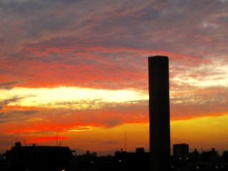DSC_2494.jpg