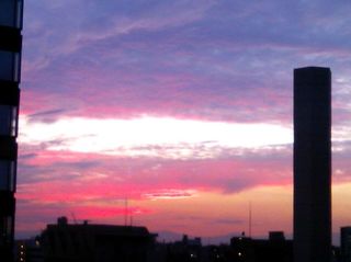 DSC_2496.jpg