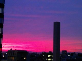 DSC_2511.jpg