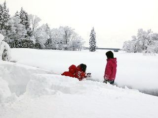 DSC_2655.jpg