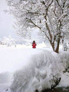 DSC_2658.jpg