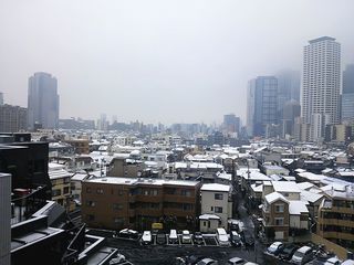 DSC_2684.jpg