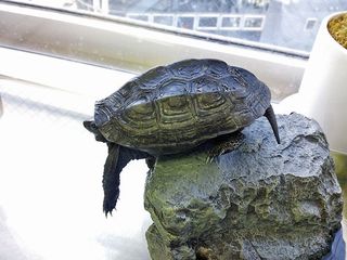 DSC_2690.jpg