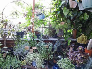 DSC_2869.jpg