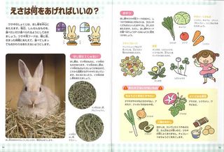 はじめての飼育ウサギ_本編.jpg