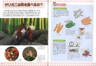 はじめての飼育ザリガニ_本編.jpg