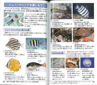 シュノーケリング.jpg