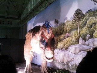 ティラノ1.jpg