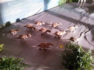プシッタコサウルス.jpg